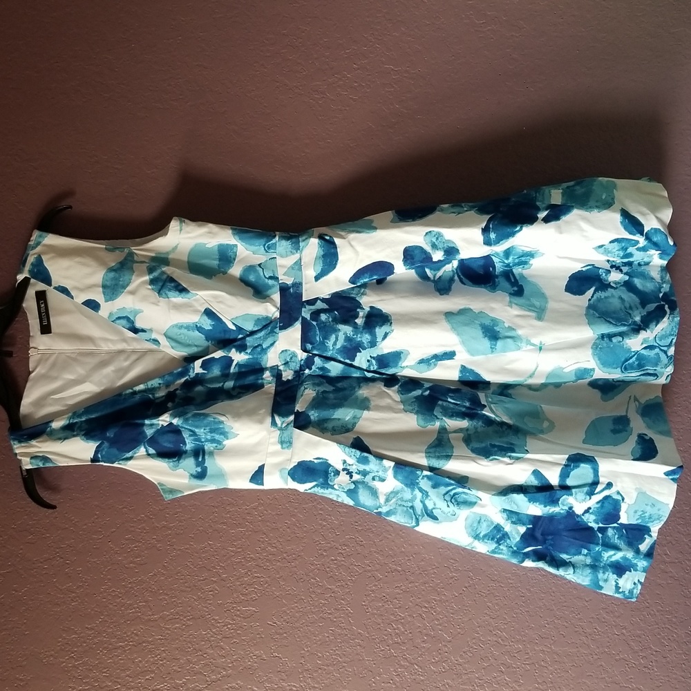 Ellen Tracy Dress